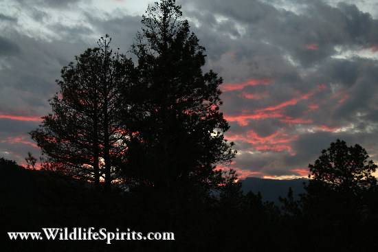 Click Picture to send as an  E-PostCard 58k 550x367